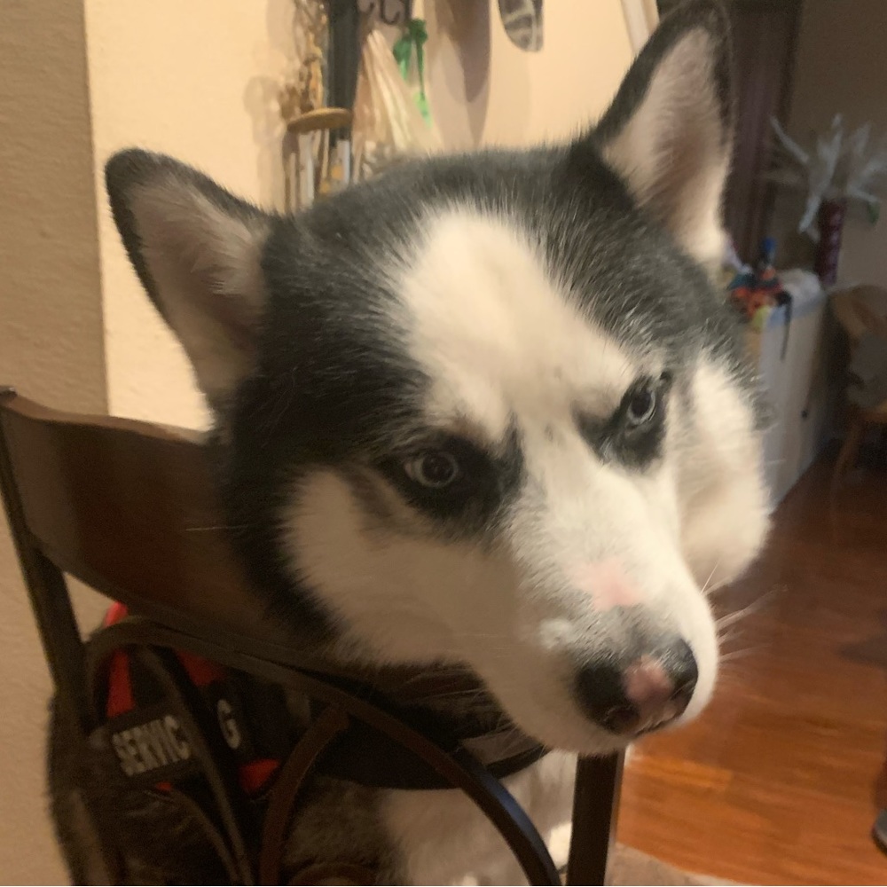 Meet your Posher, Maria